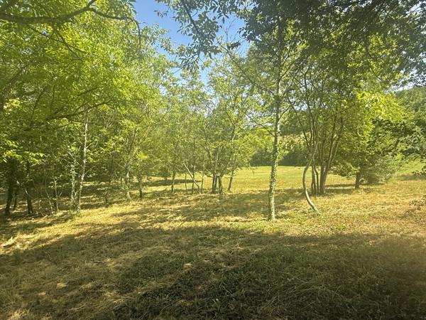 Montaigu-de-Quercy (82150) MONTAIGU DE QUERCY Maison en pierre au village avec 2 chambres, dépendants et 4033m2 de te