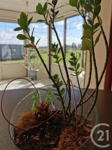 Maison à vendre  6 pièces - 137 m2 CRAVANT - 45