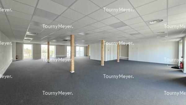 BUREAUX NEUFS - A LOUER - BRUGES