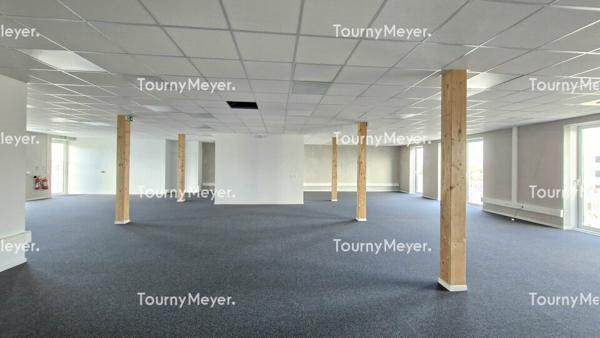 BUREAUX NEUFS - A LOUER - BRUGES