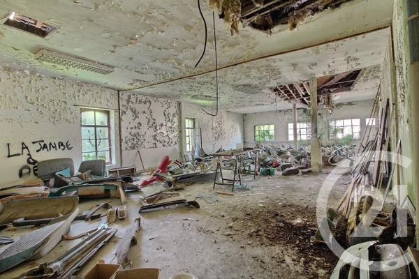 Maison à vendre  22 pièces - 1115 m2 SAVIGNY SUR BRAYE - 41