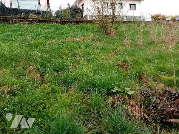 Maison de village , grand volumes, terrain attenant et dépendances