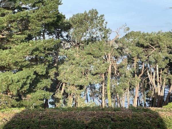 Maison à vendre à Ploubazlanec dans les Côtes-d'Armor (22620), ref : 22023-3347