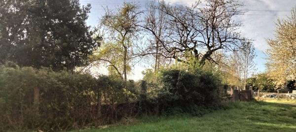 Terrain Raveau 1032 m2