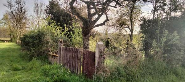 Terrain Raveau 1032 m2