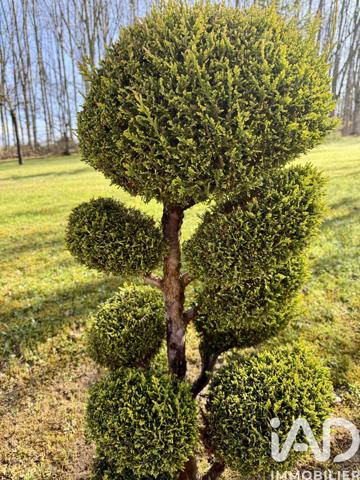 Maison à vendre 5 pièces 130 m² Sainte-Croix-en-Bresse