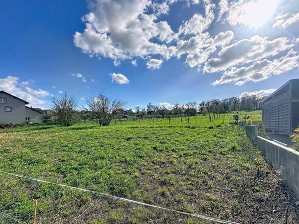 Vente / Terrain constructible