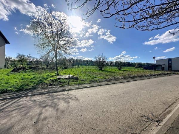 Vente / Terrain constructible