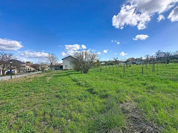 Vente / Terrain constructible