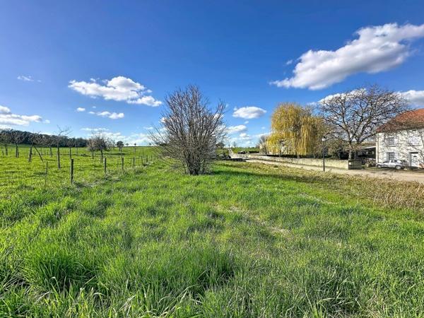 Vente / Terrain constructible