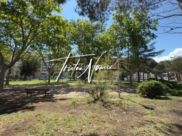 Appartement T2 de 36 m2 - 1er étage - Saint Cyprien - Le Port