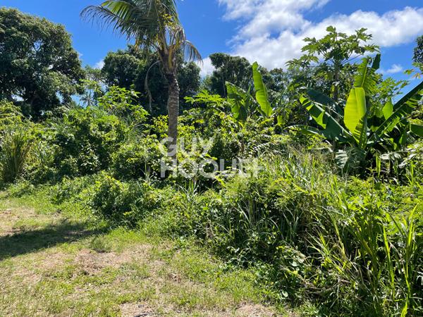 Terrain Saint Benoit 639 m2