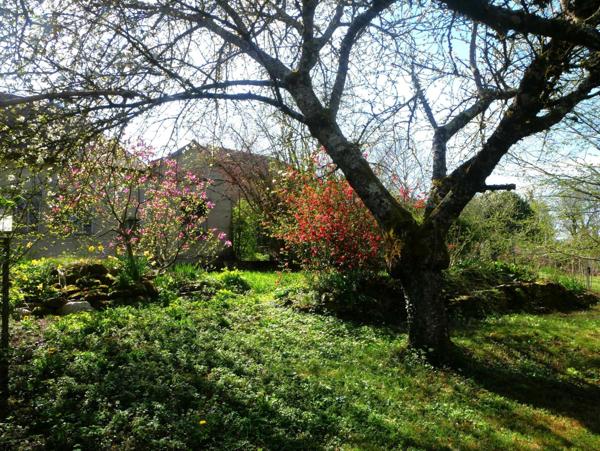 centre du village proche école et commerces