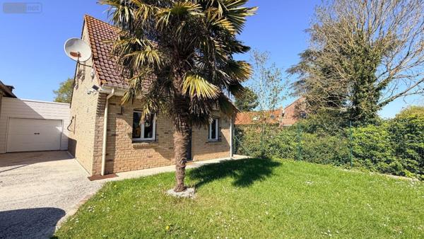 Maison individuelle à louer à Eringhem dans le Nord (59470), ref : Z973