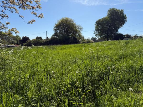 PERIGUEUX Terrain à vendre COULOUNIEIX CHAMIERS (24)