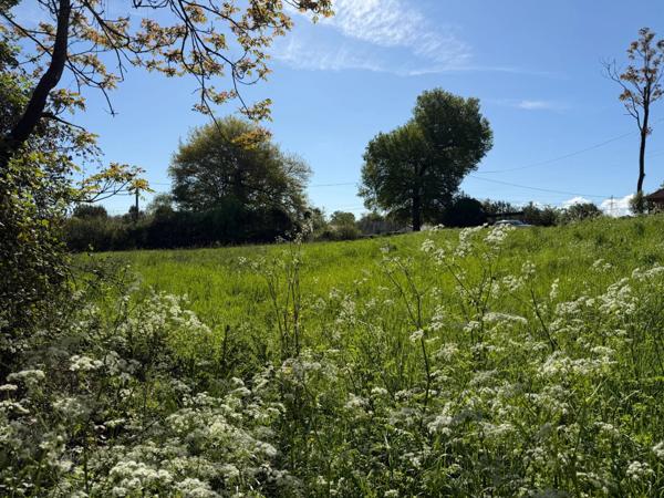 PERIGUEUX Terrain à vendre COULOUNIEIX CHAMIERS (24)