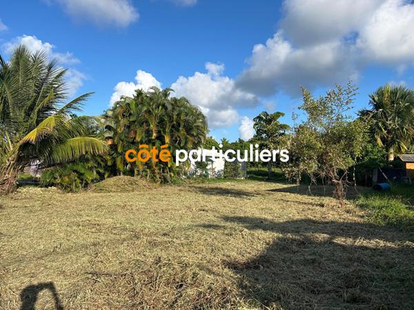 Vente Terrain753 m² - SAINT FRANCOIS (97118)