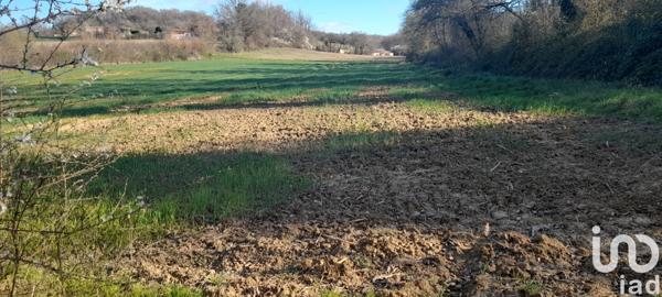 Terrain à vendre 2 800 m² Pont-du-Casse