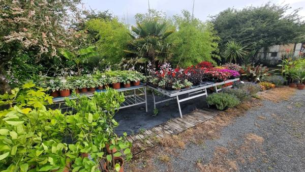Fonds de commerce à vendre SAINT DENIS D'OLERON (17)