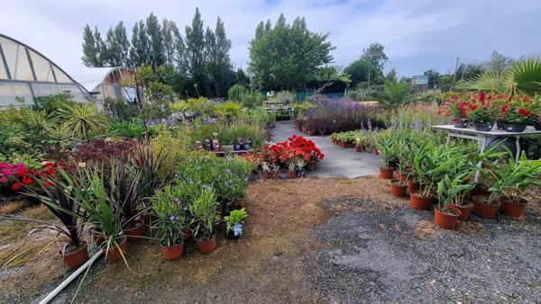 Fonds de commerce à vendre SAINT DENIS D'OLERON (17)