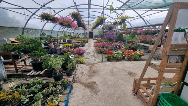 Fonds de commerce à vendre SAINT DENIS D'OLERON (17)