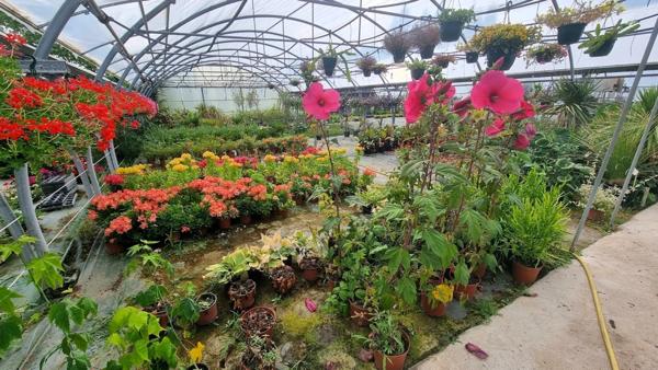 Fonds de commerce à vendre SAINT DENIS D'OLERON (17)