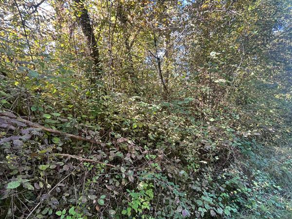 A VENDRE Terrain Boisé  de 2739 m2 commune du Change à Bassillac et  Auberoche