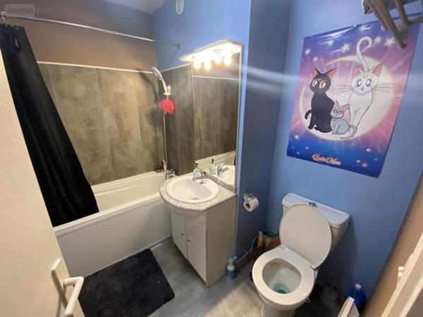 Appartement à vendre à Lille dans le Nord (59800), ref : 59098-11834