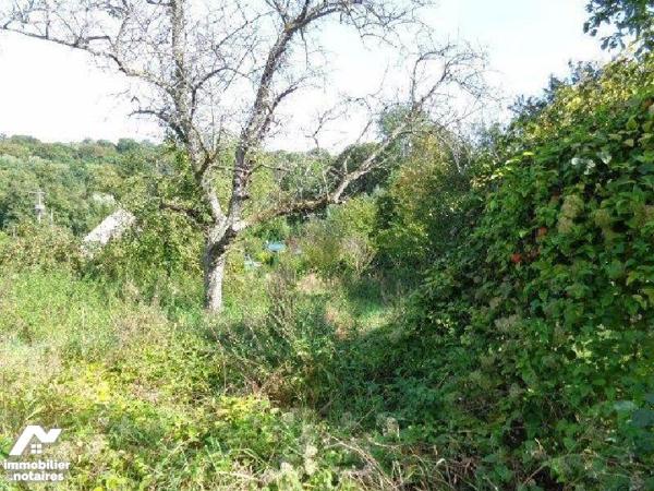 VENTE TERRAIN À BÂTIR - CUISE-LA-MOTTE (60350)