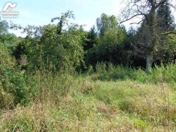 VENTE TERRAIN À BÂTIR - CUISE-LA-MOTTE (60350)