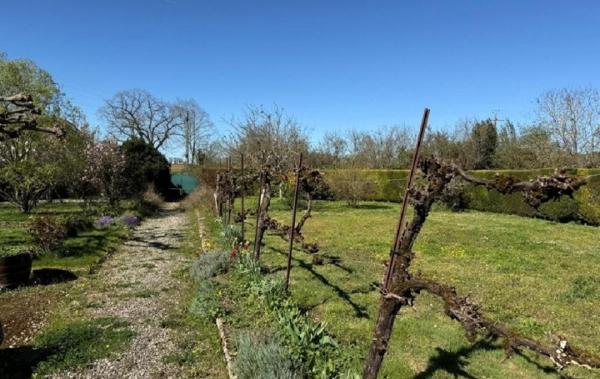 Vente Maison Villefagnan   