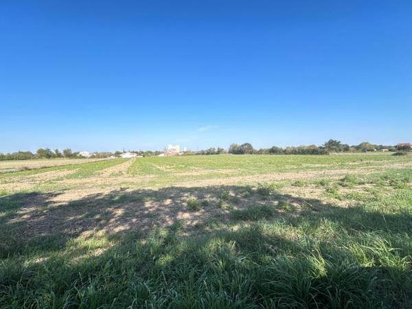 Terrain  23690 m²  23690 m²