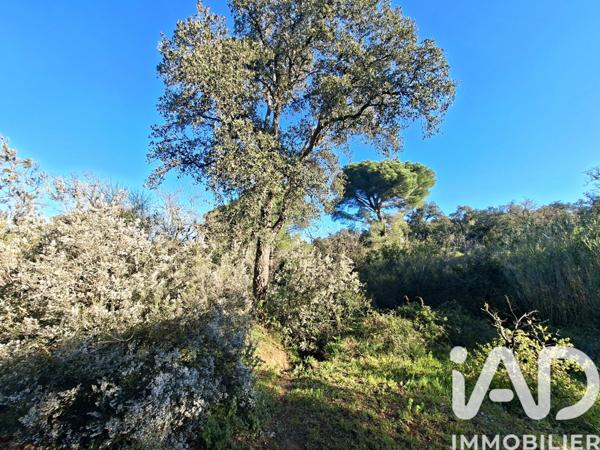 Terrain à vendre 2 880 m² Argelès-sur-Mer