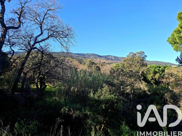 Terrain à vendre 2 880 m² Argelès-sur-Mer