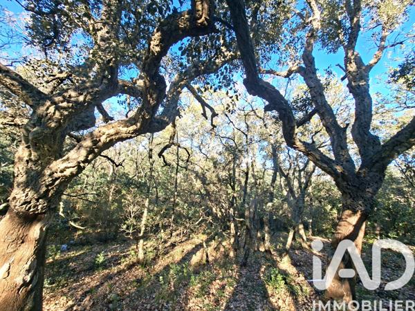 Terrain à vendre 2 880 m² Argelès-sur-Mer