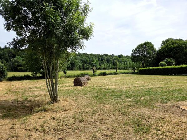 Terrain idéal, vue dégagée, divisible, proche centre-bourg !
