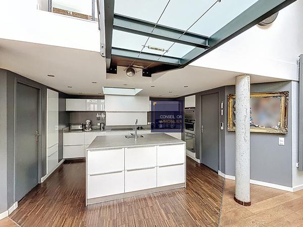 Loft atypique 180m2 - Jardin privatif - proximité immédiate métro B Lyon Gerland , Oullins pierre benite Loft atypique 180m2 - Jardin privatif - proximité immédiate métro B Lyon Gerland , Oullins pierre benite
