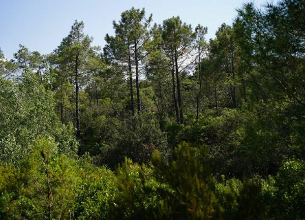 Maison à vendre    1 pièce •  Tuchan