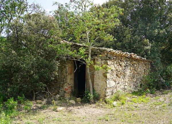 Maison à vendre    1 pièce •  Tuchan