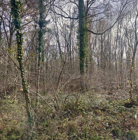 Terrain à vendre |  Fontaines-en-Sologne |  119780 m²