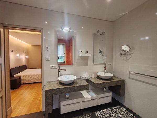 Propriete à vendre 12 pièces L'OIE (85)