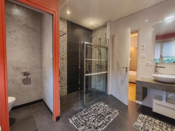 Propriete à vendre 12 pièces L'OIE (85)