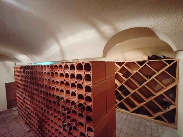 Propriete à vendre 12 pièces L'OIE (85)