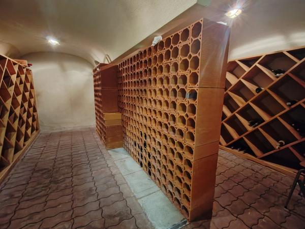 Propriete à vendre 12 pièces L'OIE (85)