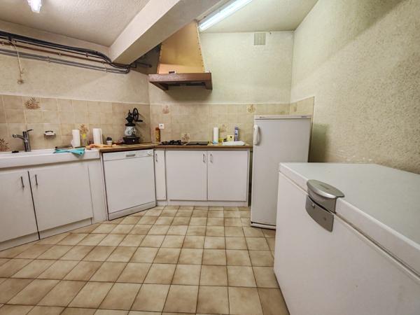 Propriete à vendre 12 pièces L'OIE (85)