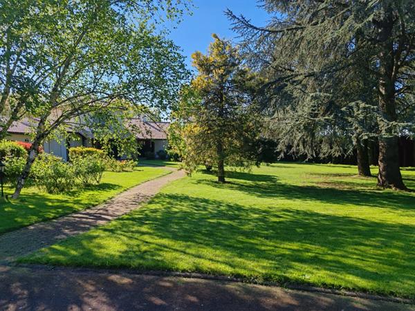 Propriete à vendre 12 pièces L'OIE (85)