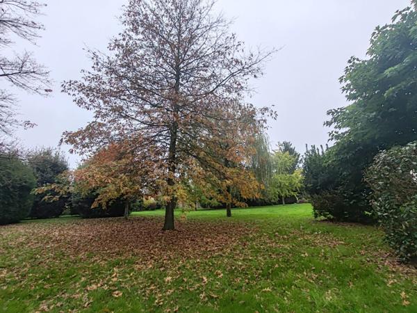 Propriete à vendre 12 pièces L'OIE (85)