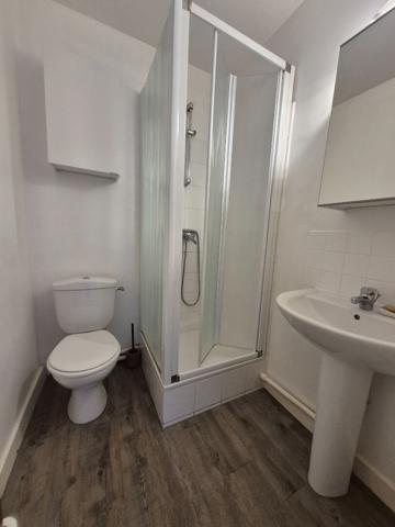 Appartement Saint Etienne 2 pièce(s) 44 m2