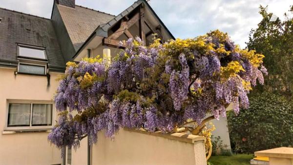 Maison familiale récente - quartier Jeanne d'Arc RENNES
