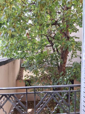 Location                                                      Appartement
                        
                     2 pièces                      38 m2                     à Clichy